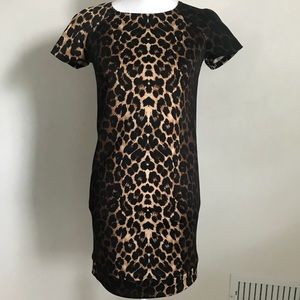 Bar III Dress